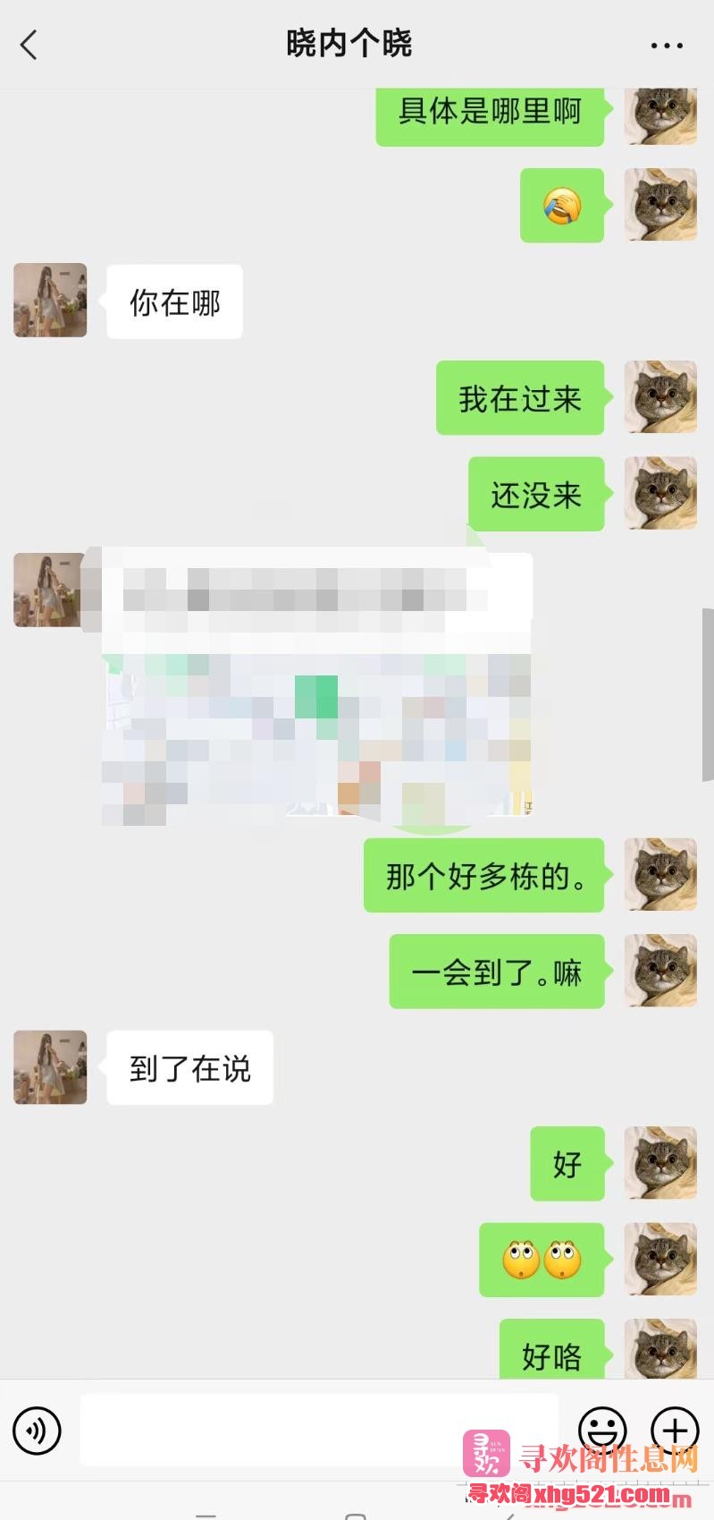 235253ka7442mz5aia4s35.jpg