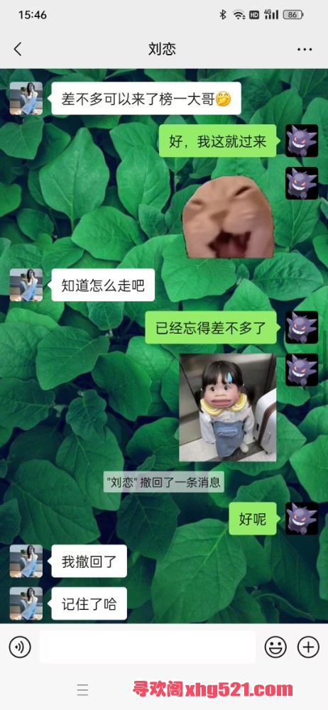 154725cqi9ij4qt2i4htjj.jpg
