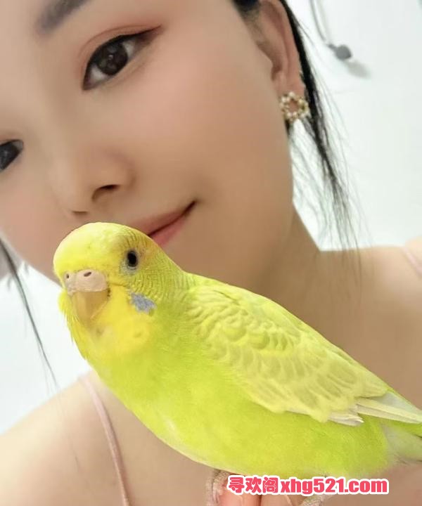 994e272a-2c5d-43a6-9810-26cfc3663bb0.jpg