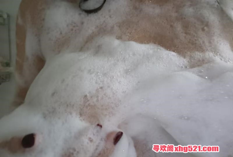 e4e46a97-83d4-4bee-9c36-c975e2ed7c67.jpg