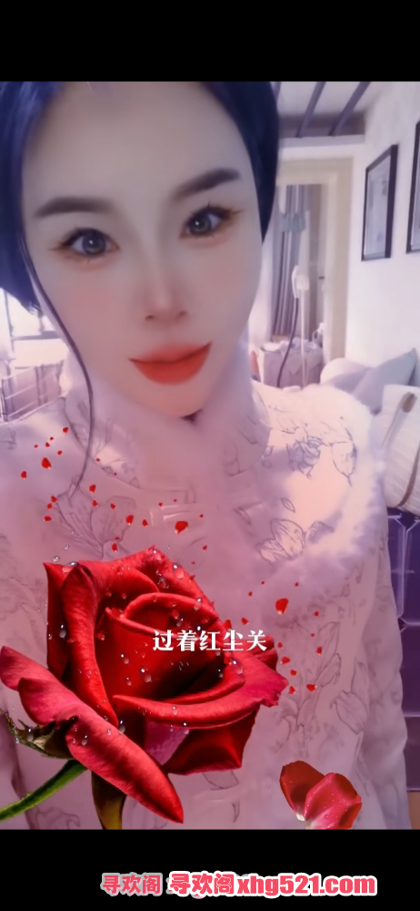 154139l0g6688s6w8c2bz8.png