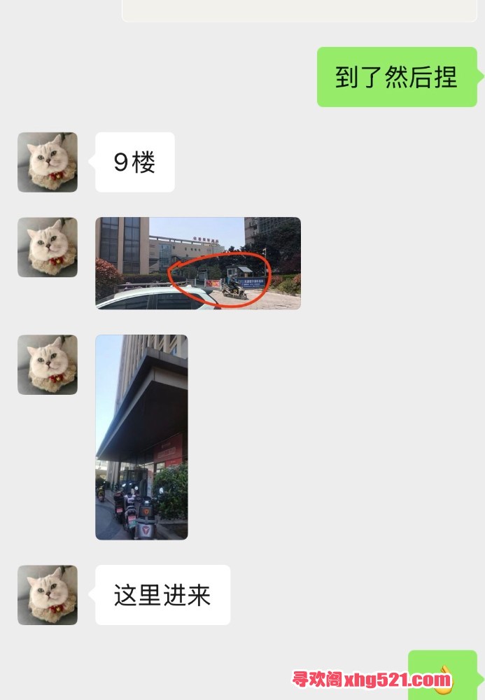 102915osh77yh27yyhpsx3.jpeg