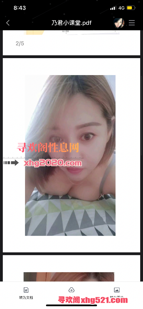 204708or1r816osgzg2lkf.png